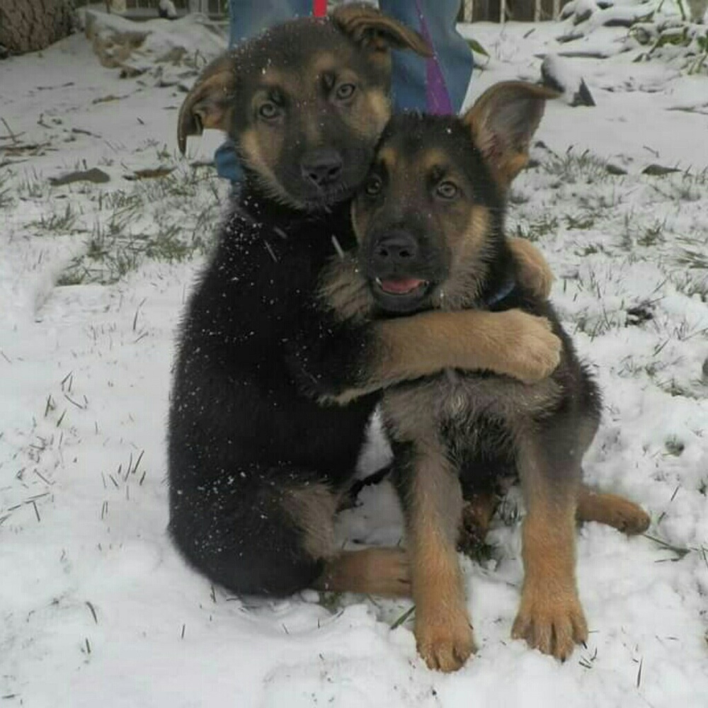 Meet your Posher, Cheri